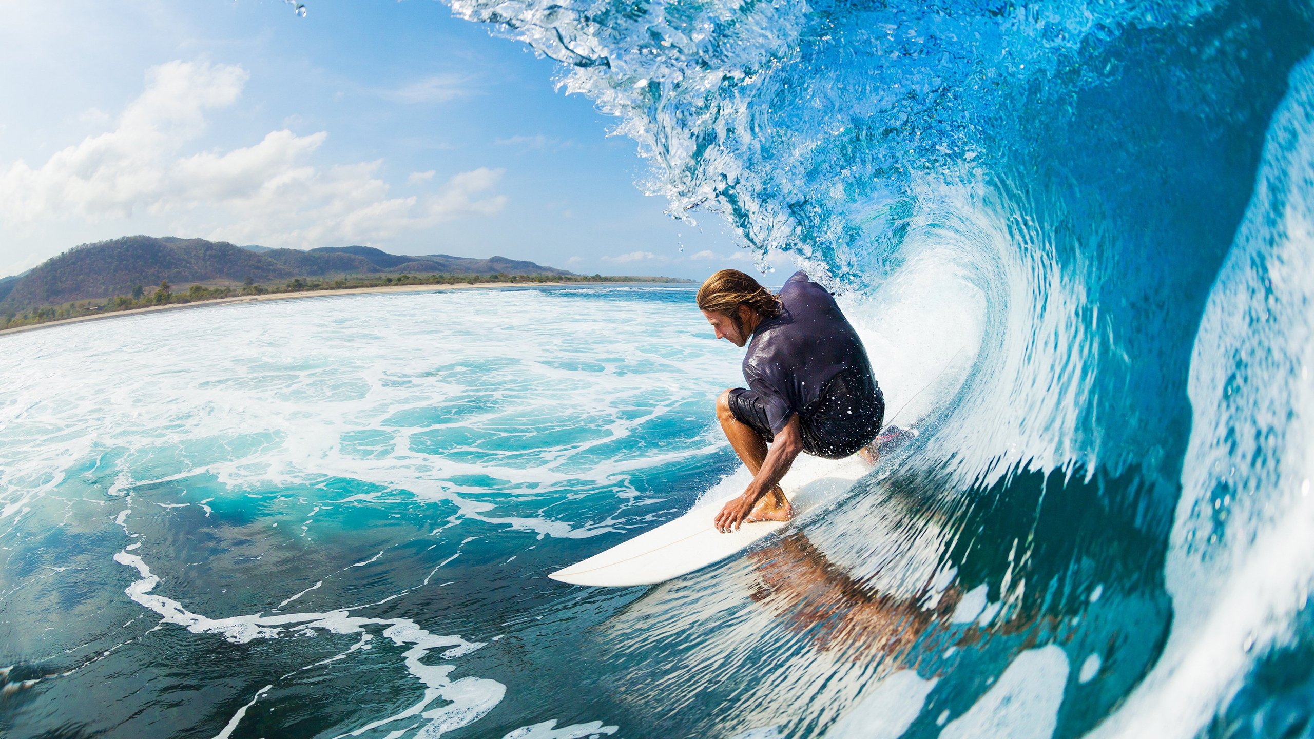 灰熊硬仗取胜广东队，武切维奇成为关键先生